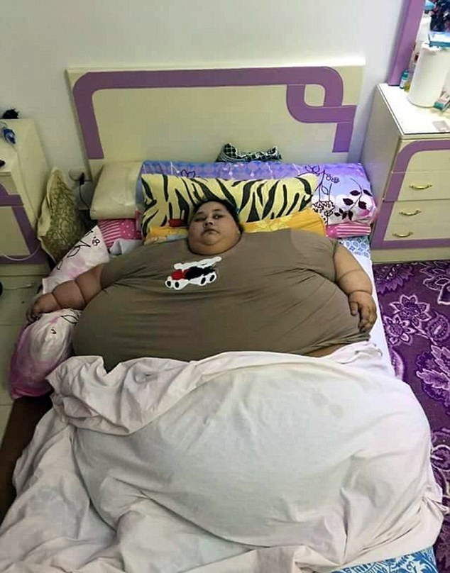 辰溪新闻网：记录时代脉搏的地方声音